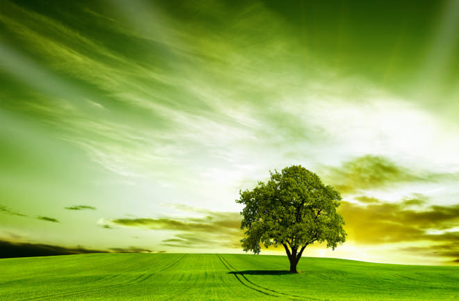 നേട്ടത്തിൽ അടച്ച് വിപണി, 36300 മറികടക്കാൻ ആകാതെ ബാങ്കിംഗ് സൂചിക - പോസ്റ്റ്മാർക്കറ്റ് റിപ്പോർട്ട്￼￼