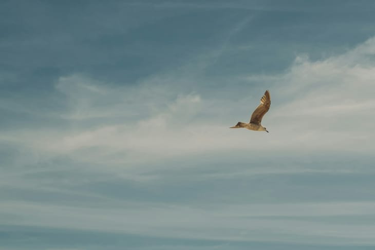 Gap-up Opening in NIFTY! BANK NIFTY Monthly Expiry Day - Pre-Market Analysis Report